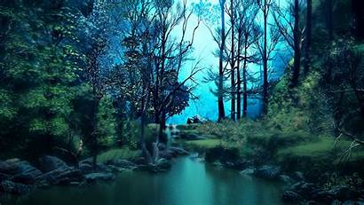 Forest Pond Water Background Trees 1080p Hdtv
