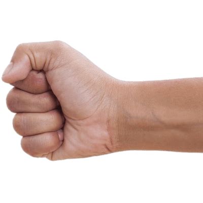 Clenched Fist To The Left Transparent Png Stickpng