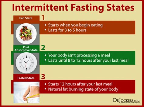 Stages Of Intermittent Fasting Chart