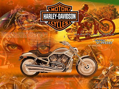 41 Harley Davidson Borders And Wallpaper On Wallpapersafari