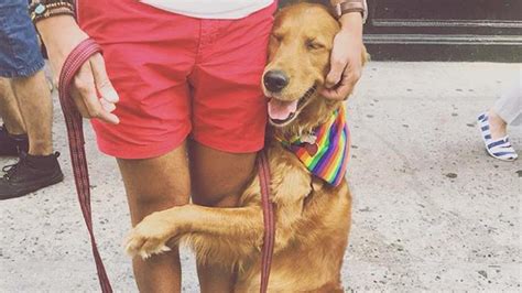 How about starting your own business with rover instead? Louboutina is NYC's most fabulous and affectionate dog