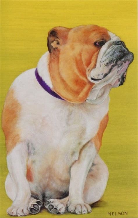 Royal English Bulldog Dog Pet Art Portrait Painting Postcard Mans Best
