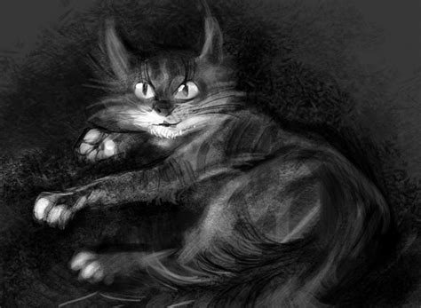 On Deviantart Kitten Cat Art Cats