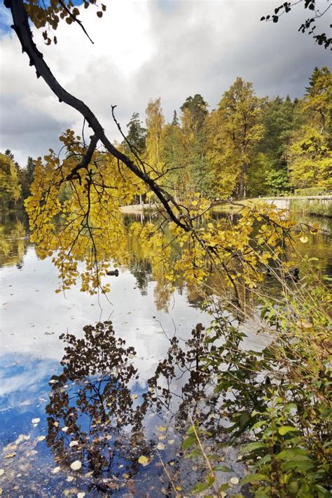 Autumn Tree With Bright Foliage Is Reflected In The Lake Stock Photo