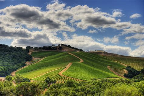 top 10 paso robles wineries heading