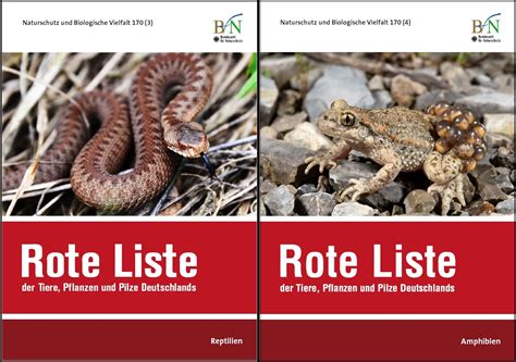 Rote Liste Der Reptilien Amphibien Deutschlands 2020 AG