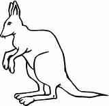 Kangaroo Outline Clipart Coloring Animals Pages Australian Drawing Clip Printable Easy Cliparts Baby Gif Getdrawings Library Kangoroo Favorites sketch template