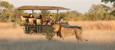 The Best Ever Luxury Safari Tours In Zimbabwe Enchanting Travels