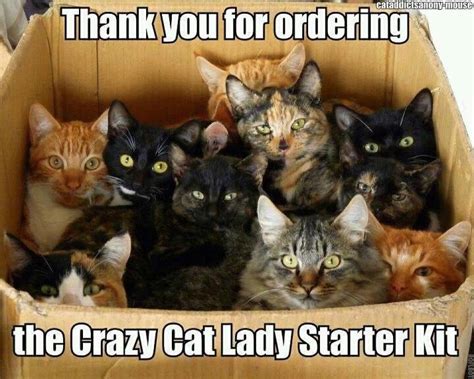 Crazy Cat Lady Crazy Cat Lady Meme Cat Lady Meme Cat Lady Starter Kit