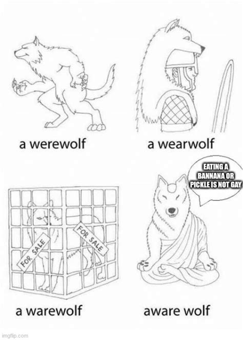 Aware Wolf Imgflip