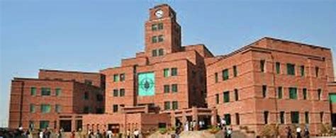 Central University Of Punjab Bathinda Leavestranscript