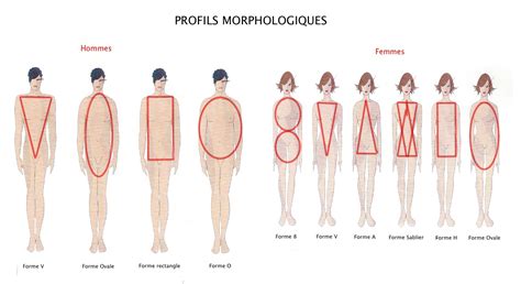 Morphologie Je Vous Aide à Trouver Quelle Est La Vôtre