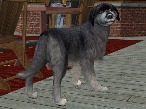 Mod The Sims Rookie Mixed Breed Rook Sims Pets Sims 4 Pets