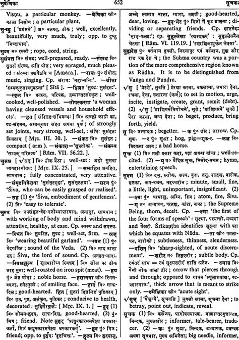 Sanskrit Hindi English Dictionary Exotic India Art