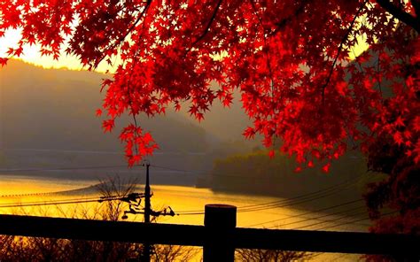 Morning Autumnal Landscape Wallpapers Wallpaper Cave