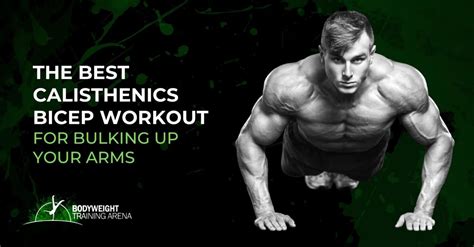 The Best Calisthenics Bicep Workout Bodyweight Training Arena