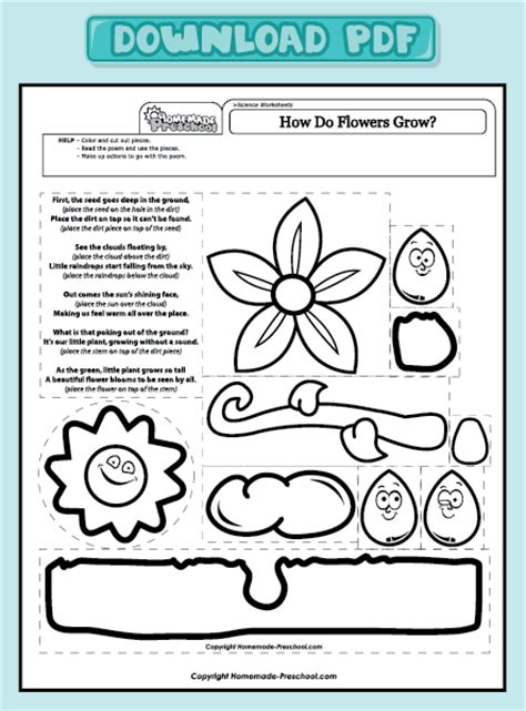 Learn about plant and animal cells with these diagrams, worksheets, and activities. Fun and Interactive Preschool Worksheets