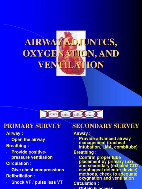 Airway Adjuncts Oxygenation And Ventilation Breathing