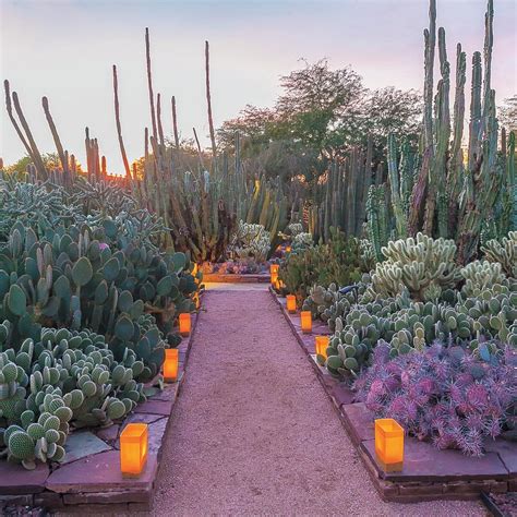 15 Essential Western Experiences For Garden Lovers Desert Botanical