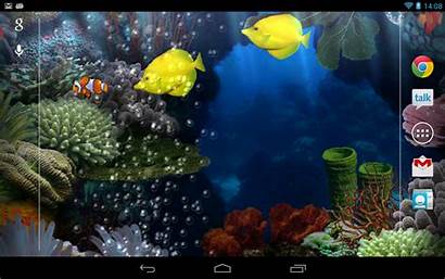 Aquarium Windows 3d Wallpapers Software Digital V305