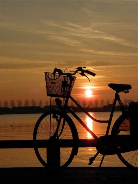 Şaka Kısmen Bakım Romantik Bisiklet Fotoğrafları Çevreci Tüketme Geri çekil