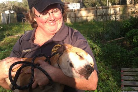 Look Viral Photo Captures Pups Bliss After Dog Fighting Ring Rescue