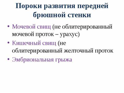 Кишечный свищ диета Топографическая анатомия и оперативная хирургия передней брюшной стенки Топографическая анатомия и оперативная хирургия передней брюшной стенки Кишечный свищ диета