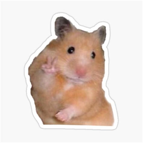 Peace Hamster Stickers Redbubble