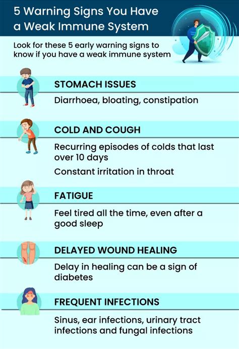 Weakened Immune System Does A ‘strong Immune System Ward Off Colds And Flu Venzero