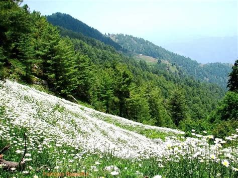 Samahni Valley In Azad Kashmir Best Tour Points