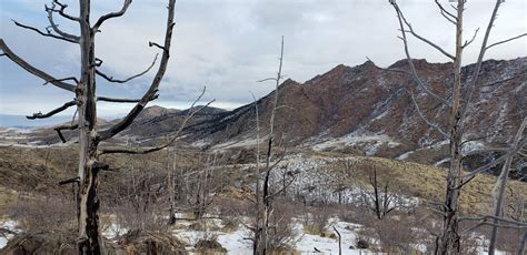 Lots Of Burnt Trees But Still A Really Nice Hike Hewlett Gulch