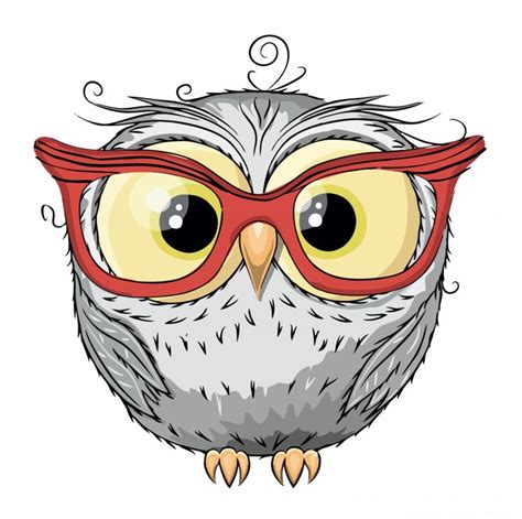 Cute Owls Clipart Owl Drawing Owl Drawing 900x895 Png Clipart