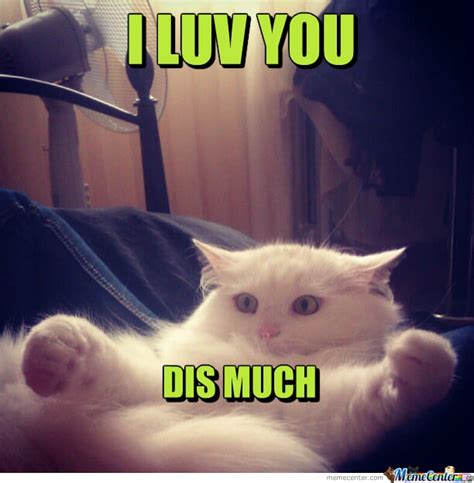 20 Very Sweet And Funny I Love You This Much Memes