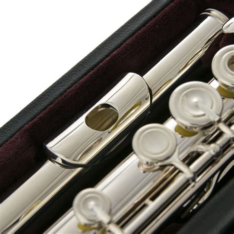 5 Best Professional Flutes Reviewed In Detail May 2024