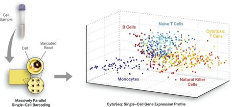 Cellular Research Unveils Massively Parallel Single Cell Sequencing