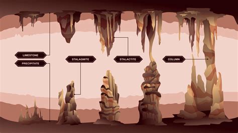 Stalactites And Stalagmites Infographics 4957485 Vector Art At Vecteezy