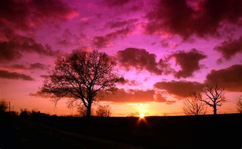 1366x768 Wallpaper Tree Sunrise Sky Sunset Nature Sunset
