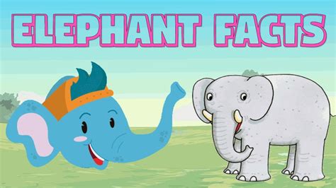 Elephant Facts For Kids Interesting Facts About Elephant Elephant