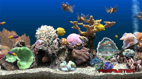 Marine Aquarium Time V26 Screensaver Portsimurphos Blog