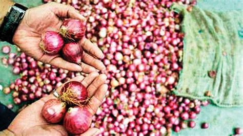 Onion Traders Call Off Strike To Resume Trade Today