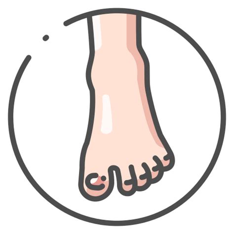 Foot Toes Icon In Human Body Color