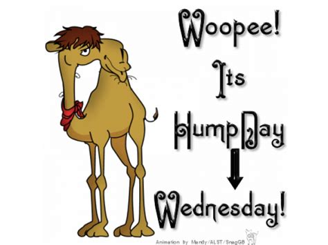 Happy Hump Day Las Vegas Mojovillage