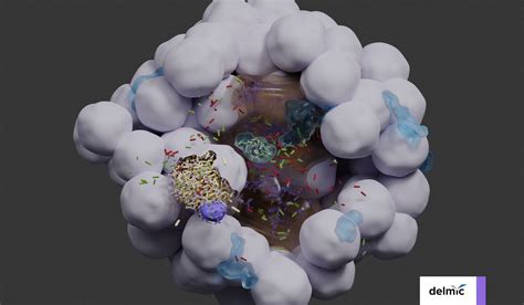 Nanoscale 3d Organoid Imaging A Powerful Tool For Drug Development
