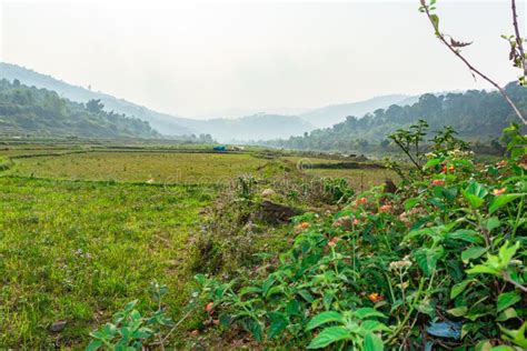 Countryside Agriculture Farming Fields With Bright Blue Sky At Morning