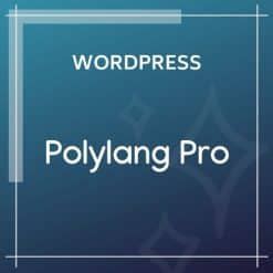 Polylang Pro Wordpress Download Zone