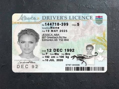 Canada Alberta Driver License Psd Template Freemiumestore