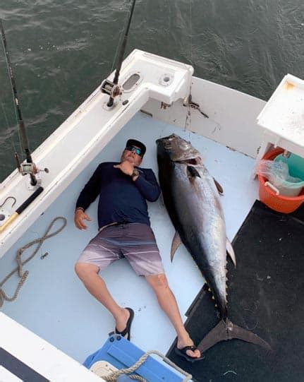 Bluefin Tuna Fishing Shark Fishing Jail Break Fishing Charters Cape Cod