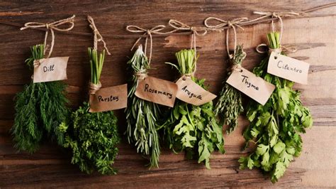 Herbs 101 How To Choose And Use Them Safely