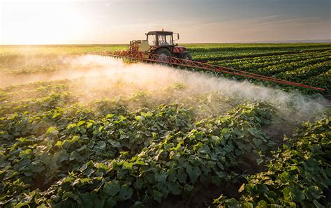 Organic Vs Non Organic Pesticides Environmental Impacts