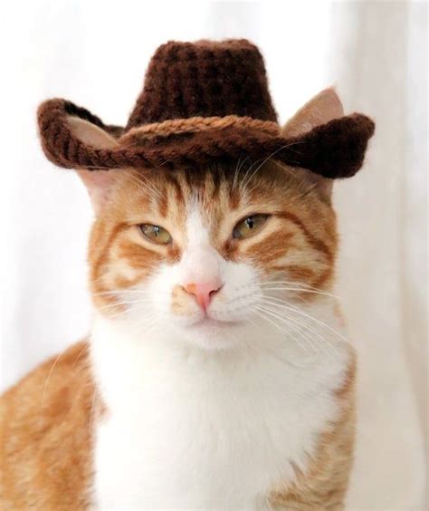 Cowboy Hat For Cats Bandana Add On Option Cowboy Halloween Etsy In